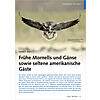 HERBST 2021: FRHE MORNELLS UND GNSE SOWIE SELTENE AMERIK ANISCHE GSTE