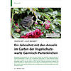 HUFIGE ART - ALLES BEKANNT? EIN JAHRZEHNT MIT DEN AMSELN IM GARTEN DER VOGELSCHUTZWARTE
