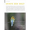 FOTOGALERIE: SPINTE DER WELT