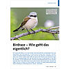 BIRDRACE - WIE GEHT DAS EIGENT LICH?
