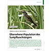 BERRASCHUNG IN WESTAFRIKA: BERSEHENE POPULATION DES SUMP FBUSCHSNGERS