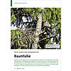 ROTE HOSEN UND KRHENNESTER: BAUMFALKE