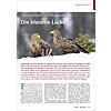 POPULATIONSWIRKUNG VON BLEI MUNITION: DIE BLEIERNE LCKE