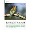 BESTANDSENTWICKLUNGEN UND TREN DS: BIENENFRESSER IN DEUTSCHLA ND