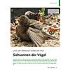 LICHT UND WRME AUF FEDERN UND HAUT: SICHSONNEN DER VGEL