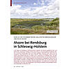 AUSFLUG INS FOCKBEKER MOOR, DE LLSTEDTER BIRKWILDMOOR UND WIL DE MOOR: MOORE BEI RENDSBURG