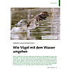 WERDEN VOGELFEDERN NASS? WIE VGEL MIT DEM WASSER UMGEHEN
