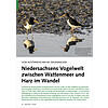 VON AUSTERNFISCHER BIS ZIEGENM ELKER: NIEDERSACHSENS VOGELWEL T ZWISCHEN WATTEMEER UND HARZ