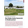 HOCHWASSER- UND NATURSCHUTZ: DER POLDER HOLTER HAMMRICH IN NIEDERSACHSEN