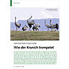 ANATOMIE EINER VOGELSTIMME: WIE DER KRANICH TROMPETET