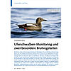 SOMMER 2022: UFERSCHWALBEN- MONITORING UND ZWEI BESONDERE BRUTVOGELARTEN