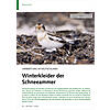 VERBREITUNG IN DEUTSCHLAND: WINTERKLEIDER DER SCHNEEAMMER