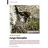 IM FOKUS DER FORSCHUNG: JUNGE STEINADLER