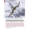 EIN WEITERER SCHRITT ZUR WIEDE RANSIEDLUNG IN DEN ALPEN DAS BARTGEIERPROHEKT IN BAYERN