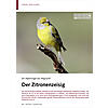 EIN ALPENVOGEL AM ABGRUND? DER ZITRONENZEISIG