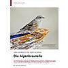 LEBEN UND BRTEN IN FELS, GERLL UND SCHNEE: DIE ALPEN BRAUNELLE