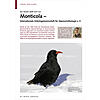 MONTICOLA - INTERNATIONALE ARB EITSGEMEINSCHAFT FR ALPENORNI THOLOGIE