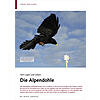 VOM LGEN UND LIEBEN: DIE ALPENDOHLE
