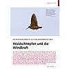 EIN ERFAHRUNGSBERICHT AUS DEM WAXENBERGER FORST: WALDSCHNEPF EN UND DIE WINDKRAFT