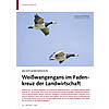 AN DER NORDSEEKSTE: WEISSWANG ENGANS IM FADENKREUZ DER LAND WIRTSCHAFT
