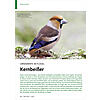 ORNAMENTE IM FLGEL: KERNBEISS ER