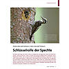 ZWISCHEN NATURWALD UND ZUKUNFT SWALD: SCHLSSERROLLE DER SPECHTE