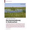 IM REICH DER HIMMELSZIEGEN: DIE HAMMENIEDERUNG IN NIEDER SACHSEN