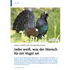 SOZIALE ASPEKTE DER VOGELBEOBA CHTUNG JEDER MENSCH WEISS, WAS DER MENSCH FR EIN VOGEL SEI