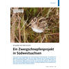 40 JAHRE AUF DER SUCHE EIN ZWERGSCHNEPFENPROJEKT IN SDWESTSACHSEN