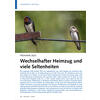 FRHJAHR 2023 WECHSELHAFTER HEIMZUG UND VIELE SELTENHEITEN