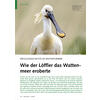 ERFOLGSGESCHICHTE IM WELTNATUR ERBE WIE DER LFFLER DAS WATTE NMEER EROBERTE