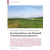 SEESCHWALBEN UND LIMIKOLEN IN ALTEN STROMTALWIESEN PEENETAL MOOR UND PEENEHAFF