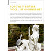 FOTOGALERIE FOTOWETTBEWERB VGEL IM WOHNGEBIET