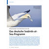 ERFASSUNGEN VON SEEVGELN AUF SEE DAS DEUTSCHE SEASBIRDS-AT- SEA-PROGRAMM
