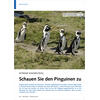 EXTREME WASSERVGEL SCHAUEN SIE DEN PINGUINEN ZU