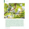 GLOBALER HOTSPOT DER BIODIVER SITT DIE ARTENVIELFALT DER WLDER COSTA RICAS