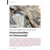 MONITORING-ERGEBNISSE DER LETZ TEN BRUTSAISON FELSENSCHWALBEN IM SCHWARZWALD
