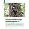 BUNTSPECHT, FICHTE UND EICHE BER WECHSELBEZIEHUNGEN DES SPECHTES IM WALD
