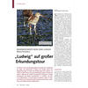 BEMERKENSWERTE REISE EINES JUN GEN BRACHVOGELS LUDWIG AUF GROSSER ERKUNDUNGSTOUR