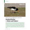 WAS EIN VOGEL AN FORMENVIELFAL T ZU BIETEN HAT AUSTERNFISCHER KLEID UND FEDERN