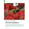 FARBEXPLOSION IM BLTENMEER DIE LORIS AUSTRALIENS