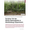 HGELIGE WALDLANDSCHAFT MIT BUCHENURWLDERN SERRAHNER TEIL DER MRITZ NATIONALPARKS