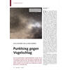 KOLLISIONEN AN GLASSCHEIBEN PUNKTSIEG GEGEN VOGELSCHLAG