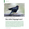 RABENVOGEL-VERWANDTSCHAFT DAS SOLLEN SINGVGEL SEIN