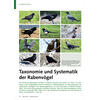 TAXONOMIE UND SYSTEMATIK DER RABENVGEL