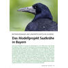 BESTANDSZUNAHME UND LANDWIRT SCHAFTLICHE SCHDEN DAS MODELL PROJEKT SAATKRHE IN BAYERN