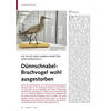 DIE SUCHE NACH EINEM PHANTOM WIRD EINGESTELLT DNNSCHNABEL- BRACHVOGEL WOHL AUSGESTORBEN
