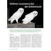 SELTENER LEUZISMUS BEI DER SCHLEIEREULE