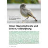 UNSER HAUSROTSCHWANZ UND SEINE KLEIDERORDNUNG