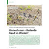 MGLICHE TRENDWENDE BEI DEN BRUTBESTNDEN BIENENFRESSER BESTANDSTREND IM WANDEL